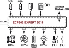 Pego expert D7.5 schéma